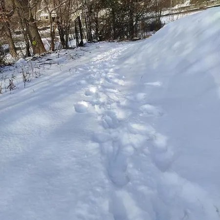 31 Kozubnik Joy&love アパート *