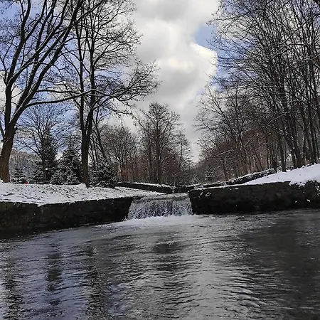 31 Kozubnik Joy&love *