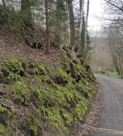 31 Kozubnik Joy&love Διαμέρισμα