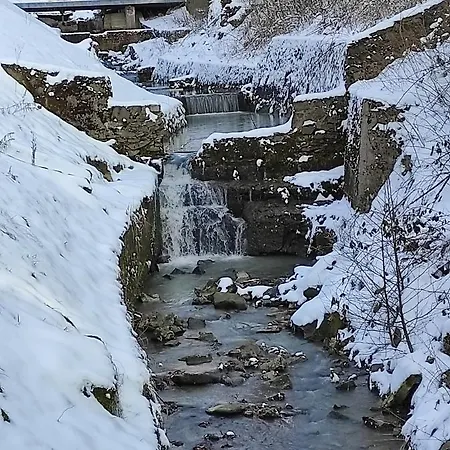 31 Kozubnik Joy&love アパート