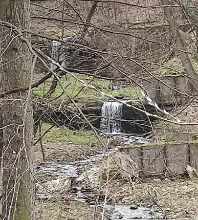 31 Kozubnik Joy&love * Porąbka